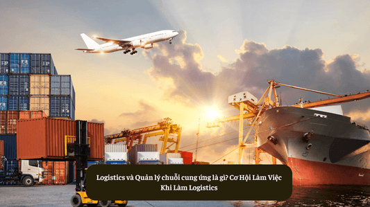 Logistics và Quản lý chuỗi cung ứng là gì? Cơ Hội Làm Việc Khi Làm Logistics